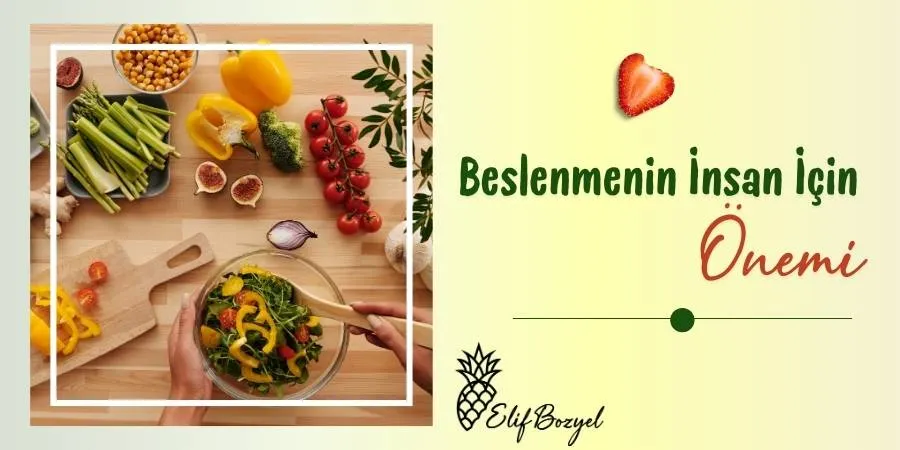 Beslenmenin İnsan İçin Önemi - Dytelifbozyel com