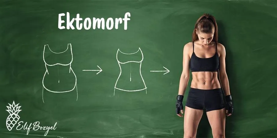 Ektomorf - Dytelifbozyel com